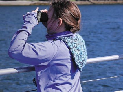 kleine Kreuzfahrtschiffe