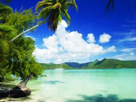 Star Clipper Segelkreuzfahrten