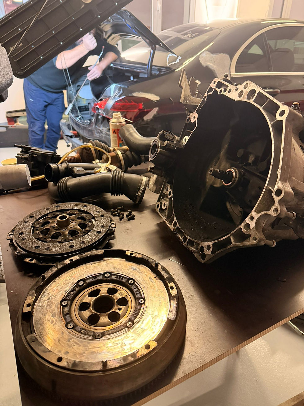 WhatsApp Image 2026-01-20 at 20.40.33.jpeg