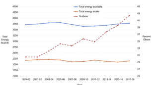 Stop Blaming Seed Oils: The Real Culprit Behind the Obesity Epidemic