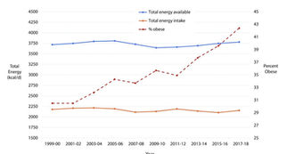 Stop Blaming Seed Oils: The Real Culprit Behind the Obesity Epidemic