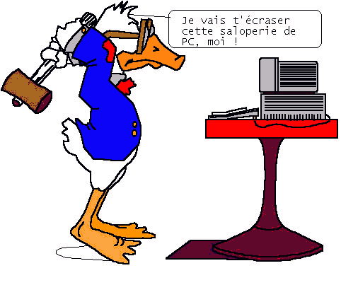 Informatique Bicgest