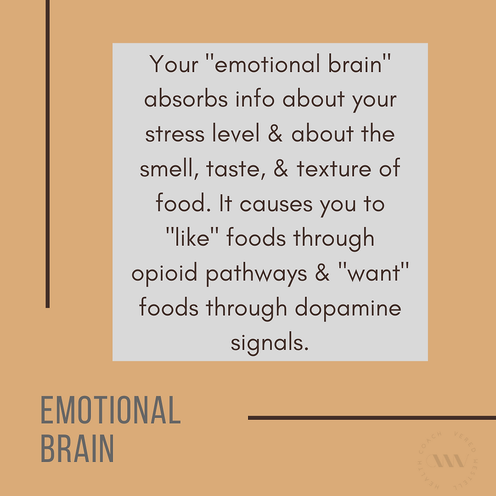 How we regulate appetite and food intake
