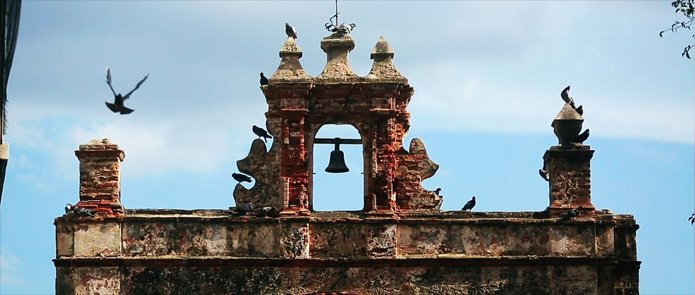 travel film-puerto rico-destination-travel video-puerto rico-2015-copamarina-beach resort spa-gh4-5dmkiii-DJI-drone filmmaking-drone