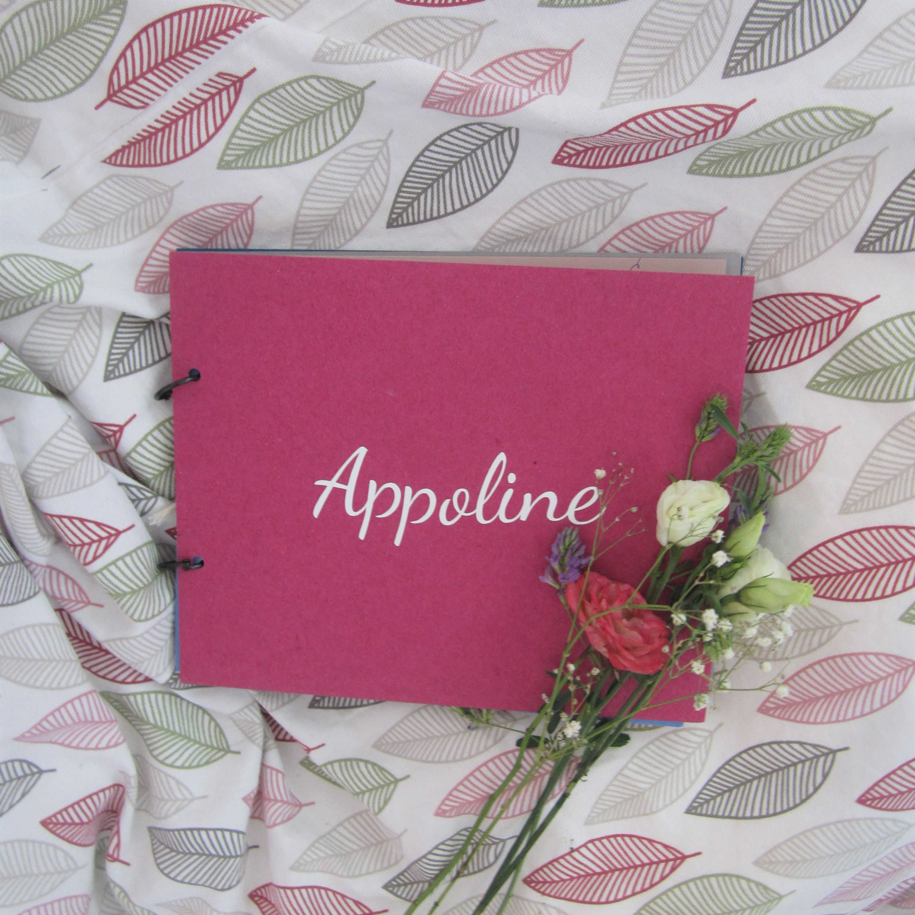 Kit Album photo tons rose