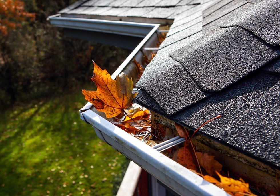 a roof pic pretty.jpeg