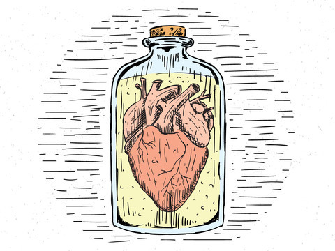human heart in a jar