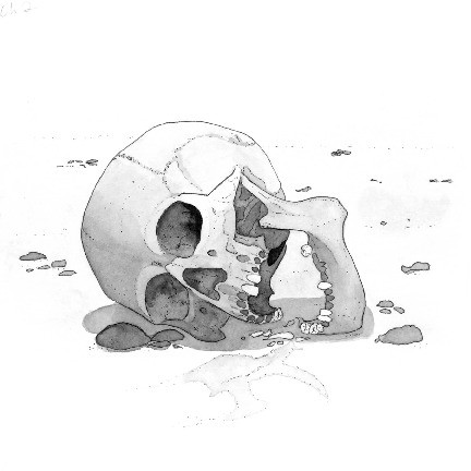 talking skull