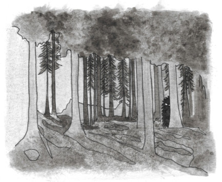 Is that a Ghillie Dhu peering out of the woods?