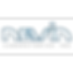 NEVINlogo_edited.png