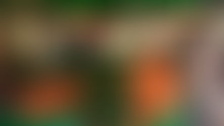 Feira de Orgânicos em Campo Grande completa oito anos levando sustento aos agricultores familiares