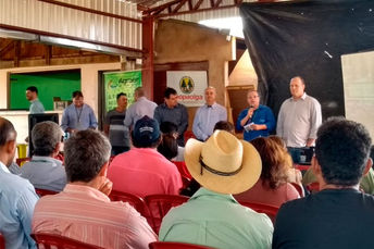 Dia de Campo sobre a cultura da Mandioca é realizado em Nova Andradina