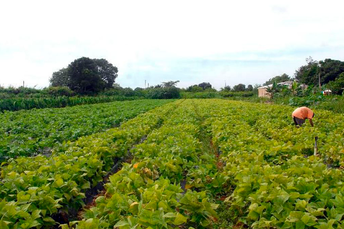 Incra divulga regras para criação de assentamentos em áreas rurais