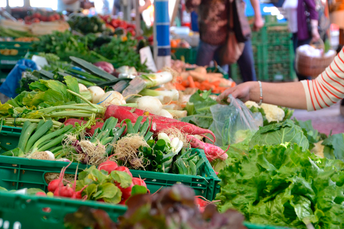 Laboratório de Inovação busca valorizar e fortalecer sistemas alimentares saudáveis e sustentáveis