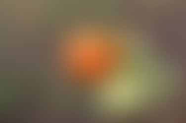 Boletim da Conab apresenta cenários e perspectivas para agricultura familiar