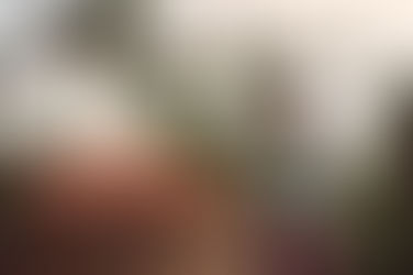 Cúpula de Sistemas Alimentares abre diálogos globais para reunir soluções sustentáveis