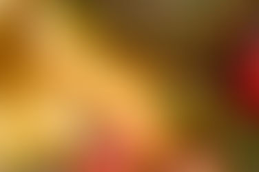 XXVII Congresso Brasileiro de Fruticultura começa no dia 25 de abril