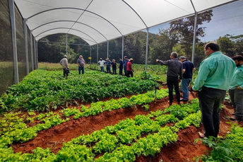Equipe da Agraer visita agroindústria e propriedade em Furnas do Dionísio