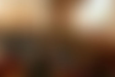 XIV CONFASER: Trabalhadores discutem os rumos da extensão rural