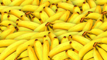 Hortifrutigranjeiros representam mais de 60% das compras do PAA em 2018