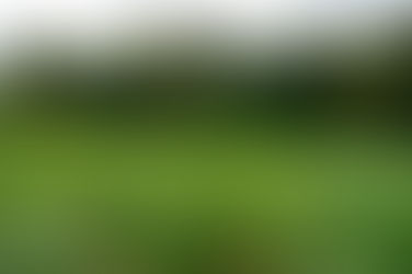 Cervejaria visita MS para conhecer potencial da agricultura familiar para produção de cerveja