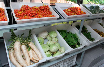 Mais um ponto de vendas do ônibus Saladão é inaugurado em Campo Grande