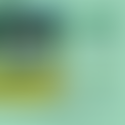 1º de maio: Dia Internacional do Trabalho