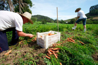 Mapa publica Manual de Operações e anuncia nova fase do Programa Nacional de Crédito Fundiário