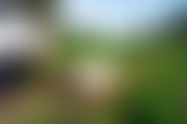 Mapa publica Manual de Operações e anuncia nova fase do Programa Nacional de Crédito Fundiário