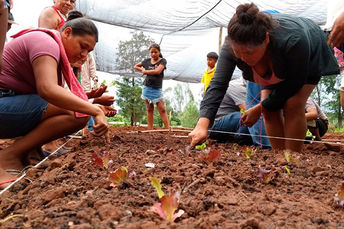 Projeto Horta na Aldeia visa atender 31 comunidades em Mato Grosso do Sul