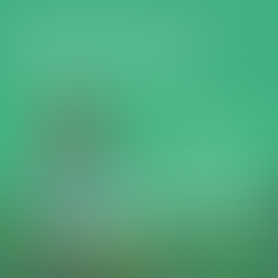 24 de janeiro: Dia do Aposentado