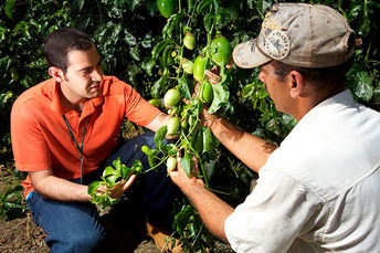 Seminário virtual discute desafios da Ater na próxima terça-feira (22)