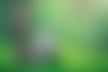 Lei que amplia conectividade no meio rural é regulamentada