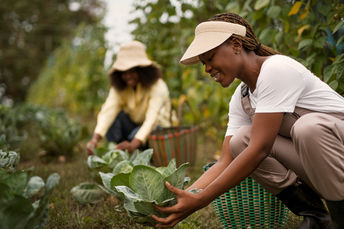 Novo programa reforça papel das mulheres na segurança alimentar e na geração de renda