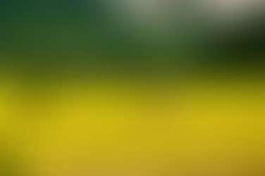 Consulta pública sobre RegularizAgro termina nesta quarta (19)