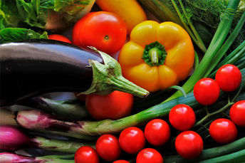 Agricultores de MS utilizam plataforma virtual “Manucã” para comercialização de produtos