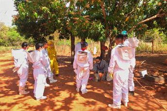 Agraer ministra curso básico de apicultura na Aldeia Ofaié em Brasilândia