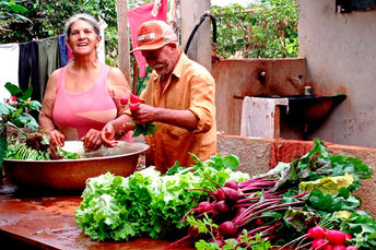Assistência técnica, crédito e demanda do mercado são desafios à agricultura familiar