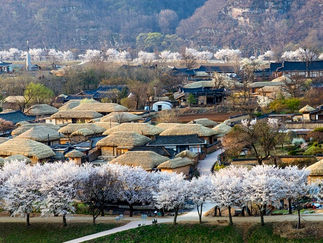 Hahoe Folk Village