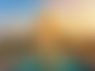 Discover some of our favourite tours.......