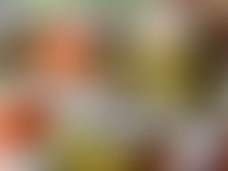 FERMENTED FOODS EXPLAINED... & your guide to gut health.