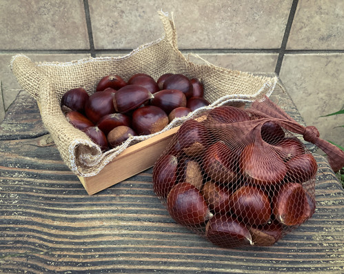 有機JAS】生栗『美玖里』1kg サイズ混合 | きりり農園