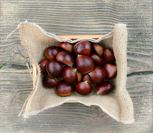 有機JAS】生栗『美玖里』1kg サイズ混合 | きりり農園