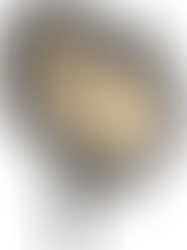 Bem-Vindo ao Salesiano Carpina - Comunicados Gerais 2024