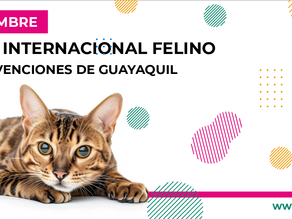 Locos Por Los Gatos 2024