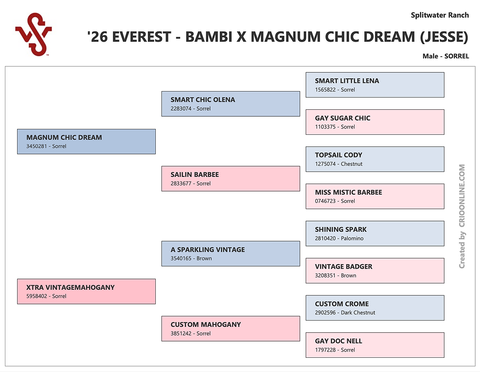 Thumbnail: 2026 Colt “Everest”, Magnum Chic Dream x Xtra Vintagemahogany