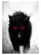 Wolf Shadow - The Chronicles of Enoch