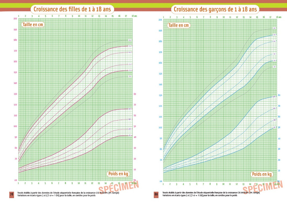 Le Developpement Somatique