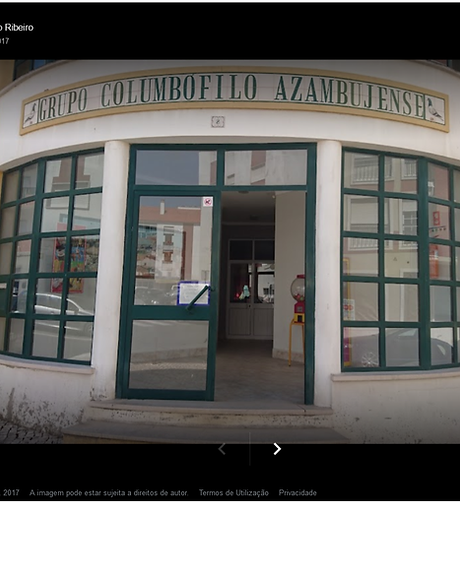 GruoColumbofiloAzambujense.png