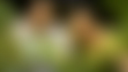 Minimalist treatment of a family favourite